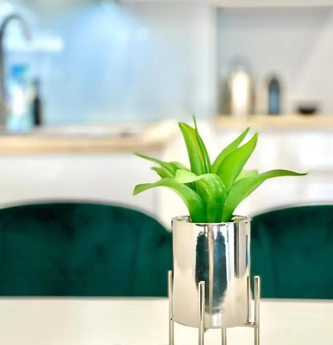 Modern Green Apartment-1